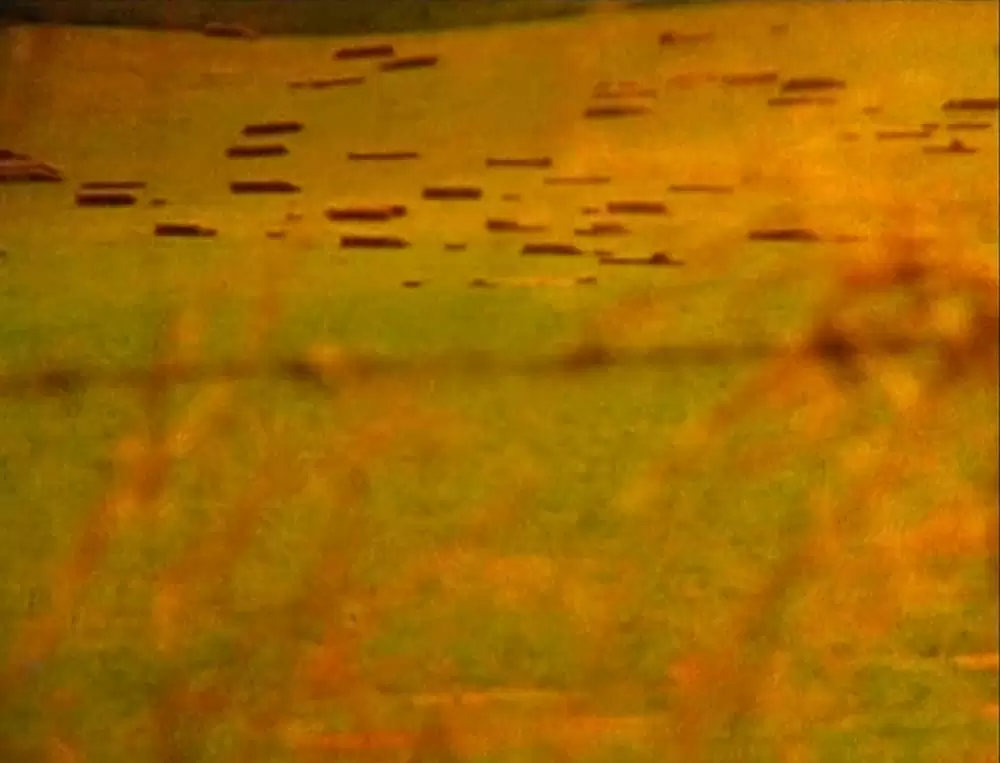 グリッターバグ／デレク・ジャーマン1970-1986の画像