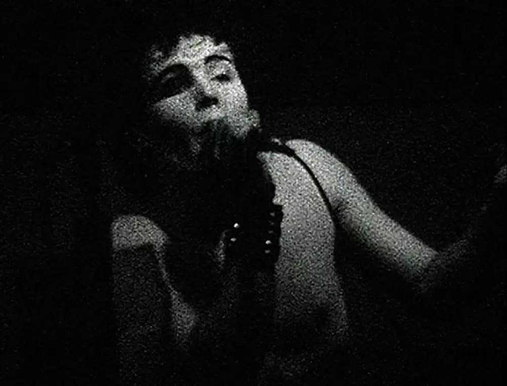 グリッターバグ／デレク・ジャーマン1970-1986の画像