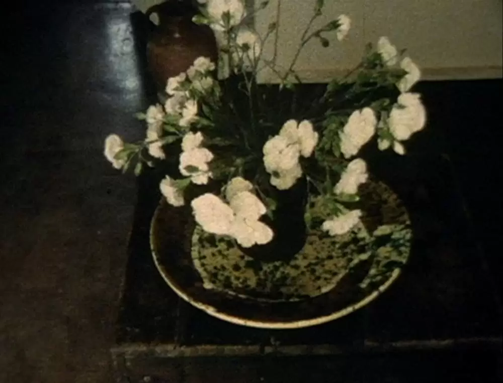 グリッターバグ／デレク・ジャーマン1970-1986の画像