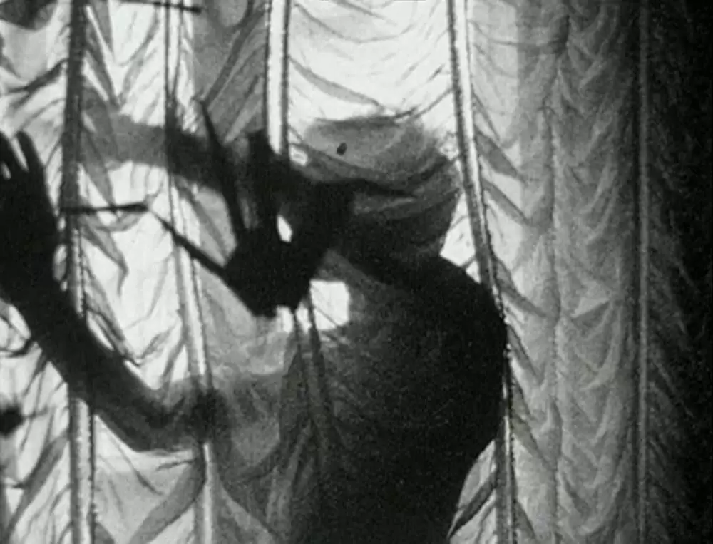 グリッターバグ／デレク・ジャーマン1970-1986の画像