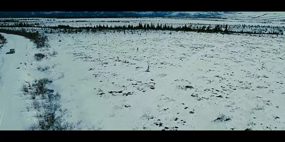 イントゥ・ザ・ワイルドの画像