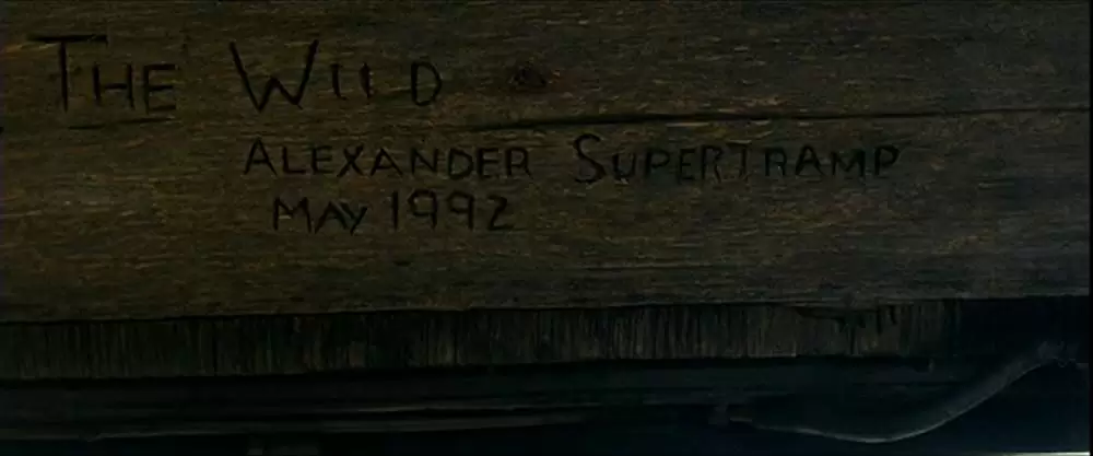 イントゥ・ザ・ワイルドの画像