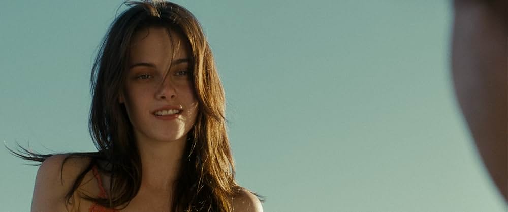 イントゥ・ザ・ワイルドの画像