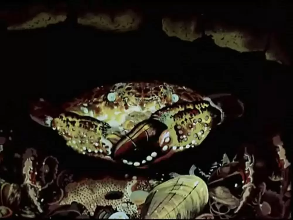 The Fireflyの画像