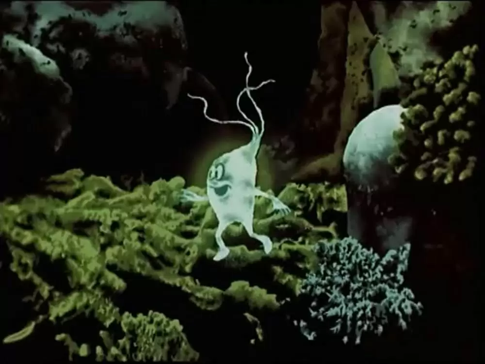 The Fireflyの画像