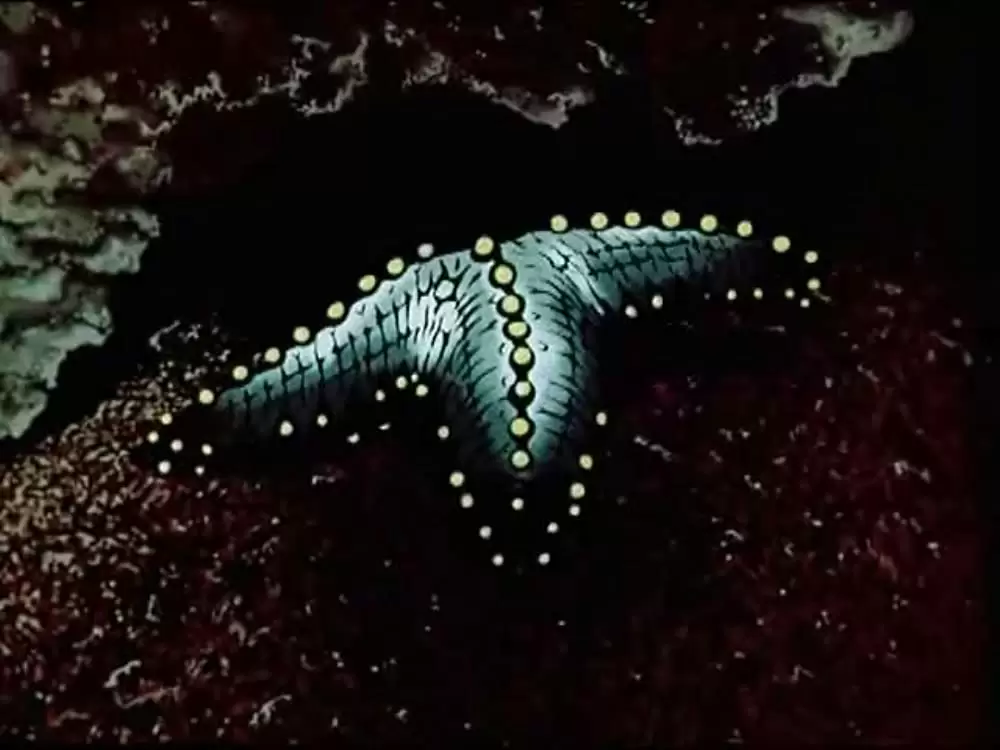 The Fireflyの画像