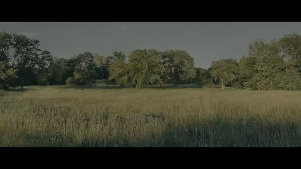 マザー！の画像