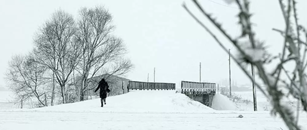 天と地の間のどこかの画像