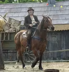 「アイム・ノット・ゼア」リチャード・ギアの画像