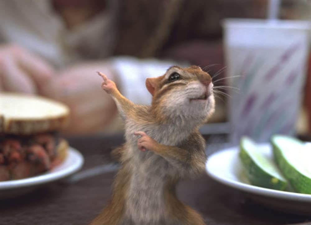 魔法にかけられての画像