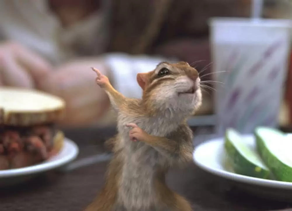 魔法にかけられての画像