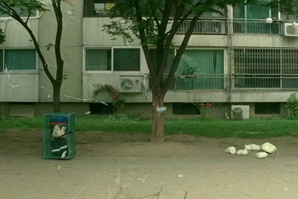 ポドリ君の家族残酷史Ｘ 韓国の夜と霧の画像