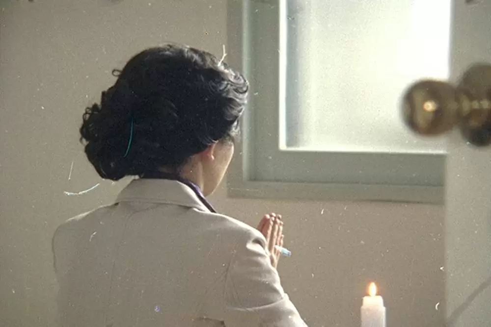 ポドリ君の家族残酷史Ｘ 韓国の夜と霧の画像