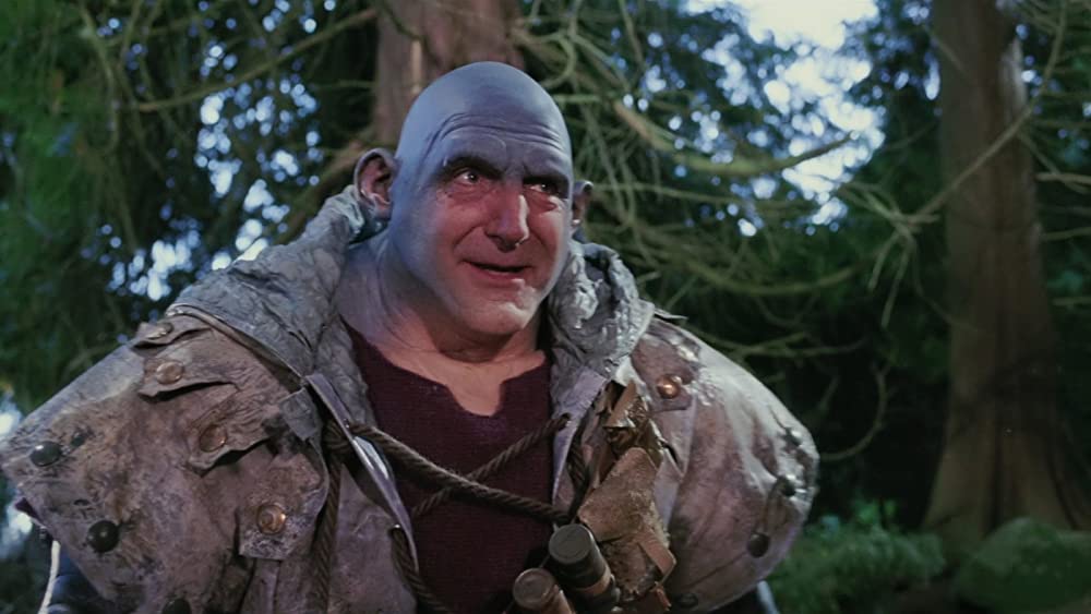 魔法にかけられたエラ／魔法の国のプリンセスの画像