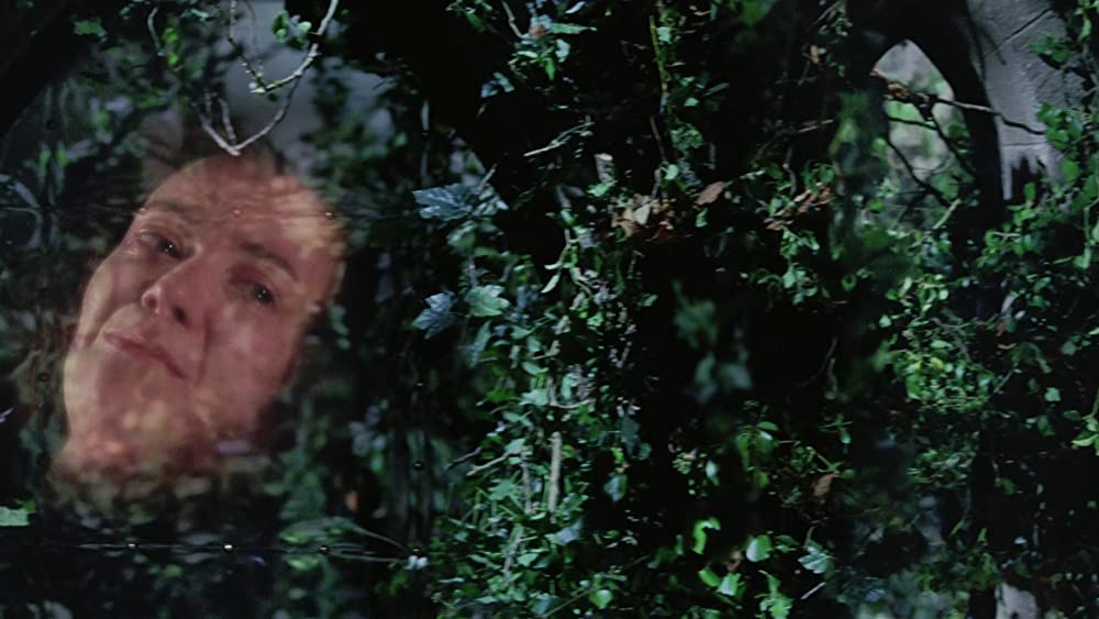 魔法にかけられたエラ／魔法の国のプリンセスの画像