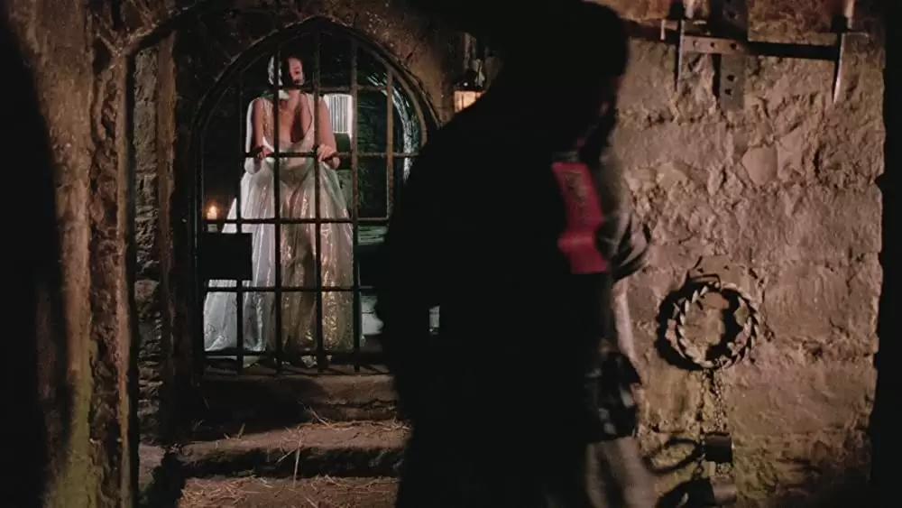 魔法にかけられたエラ／魔法の国のプリンセスの画像