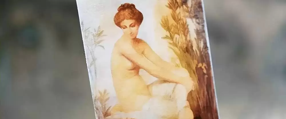 風と共に去りぬ!?の画像