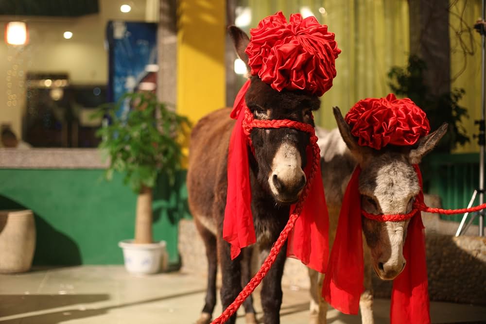 低俗喜劇の画像