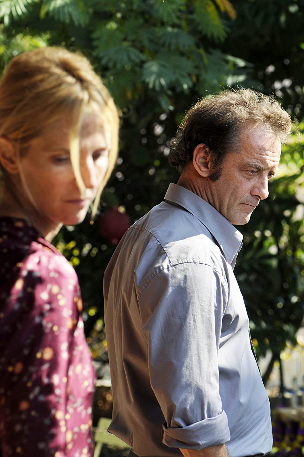 シャンボンの背中の画像