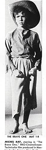 黒い牡牛の画像