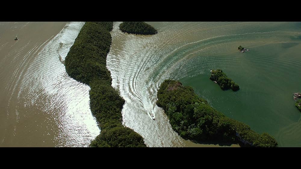 キャビン・フィーバー ペイシェント・ゼロの画像