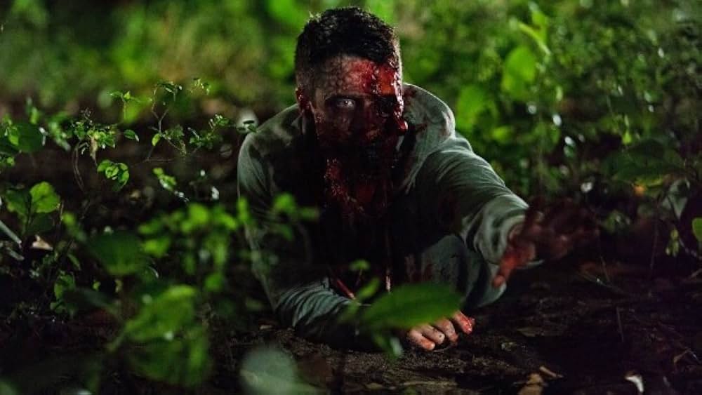 キャビン・フィーバー ペイシェント・ゼロの画像