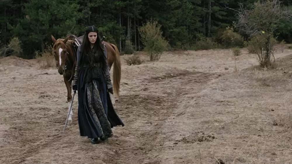 デス・リベンジ ラストミッションの画像