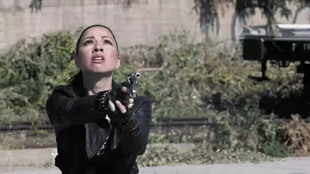 デス・リベンジ ラストミッションの画像