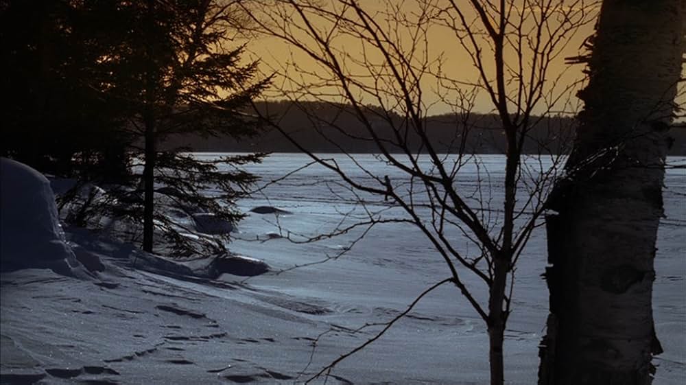 アウェイ・フロム・ハー 君を想うの画像