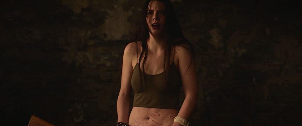 スプリットの画像