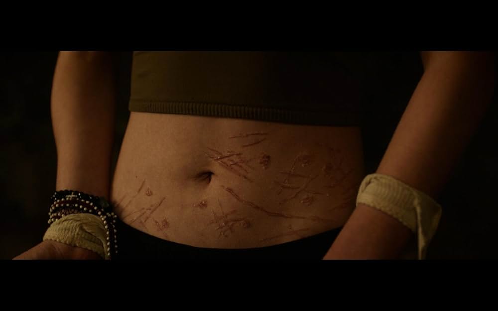 スプリットの画像