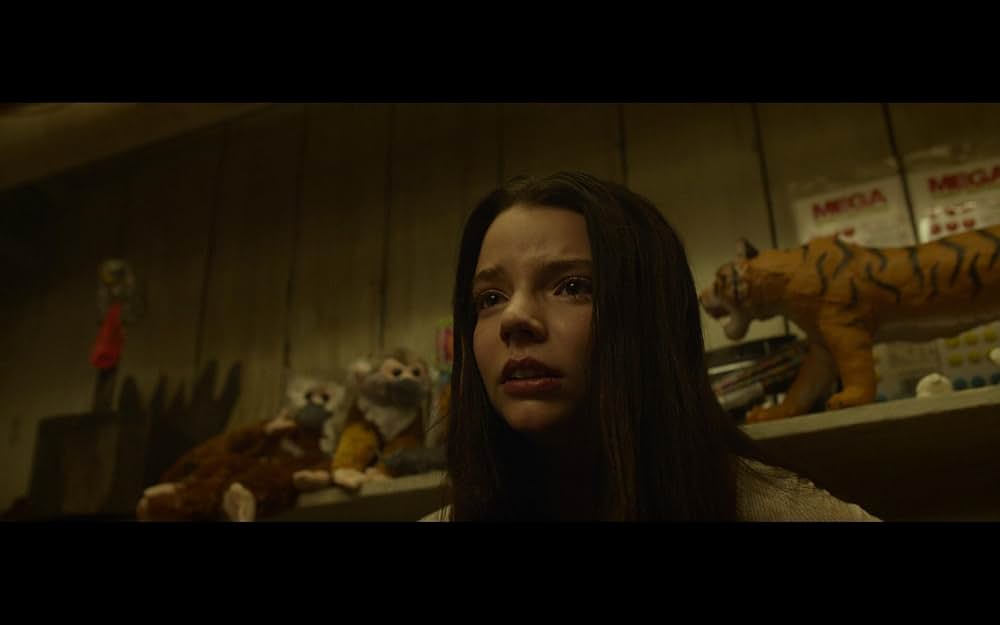 スプリットの画像