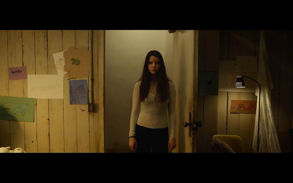 スプリットの画像