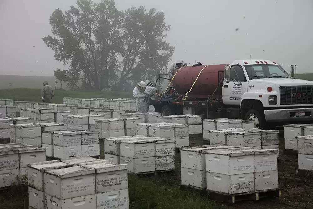 みつばちの大地の画像