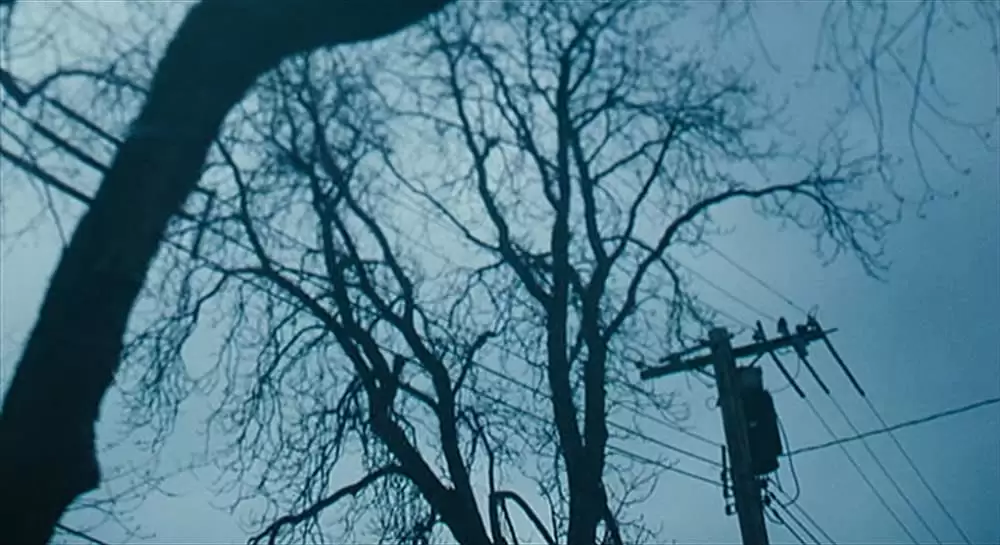 マイ・ライフ、マイ・ファミリーの画像