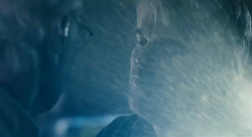 マイ・ライフ、マイ・ファミリーの画像