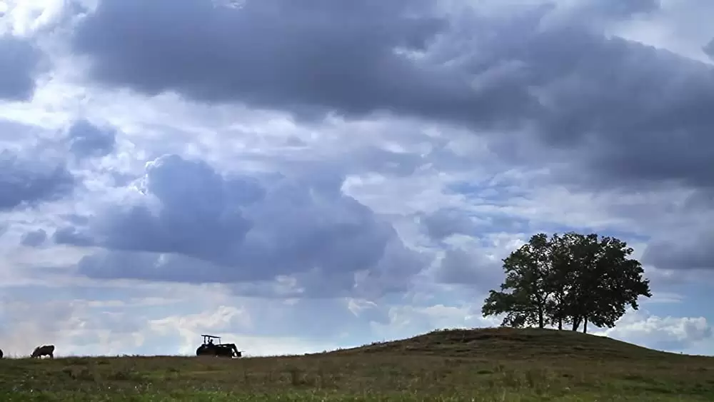 黄金のメロディ マッスル・ショールズの画像