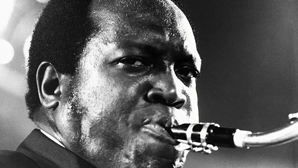 黄金のメロディ マッスル・ショールズの画像