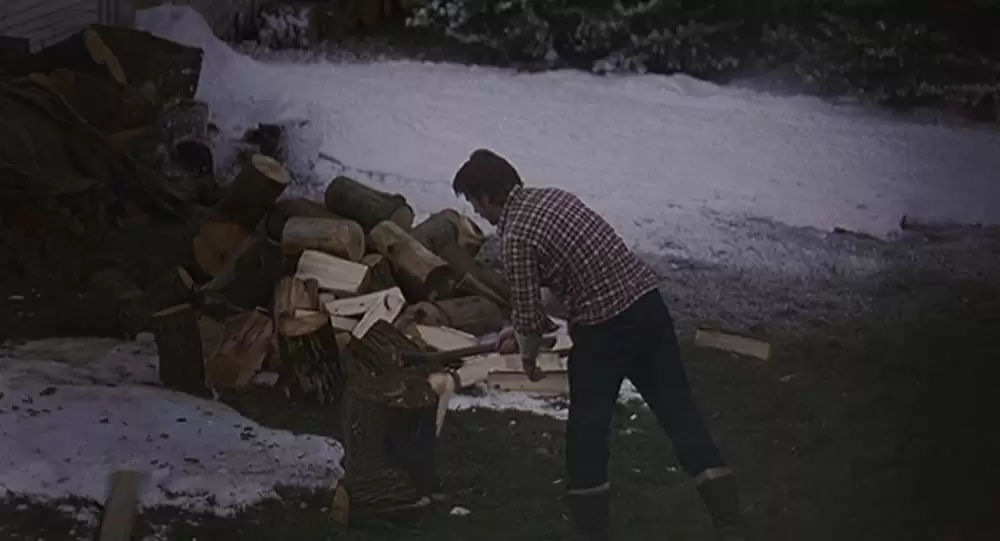 ラースと、その彼女の画像