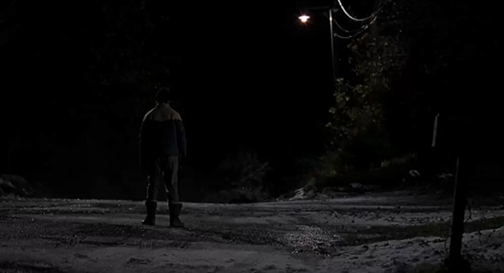 ラースと、その彼女の画像