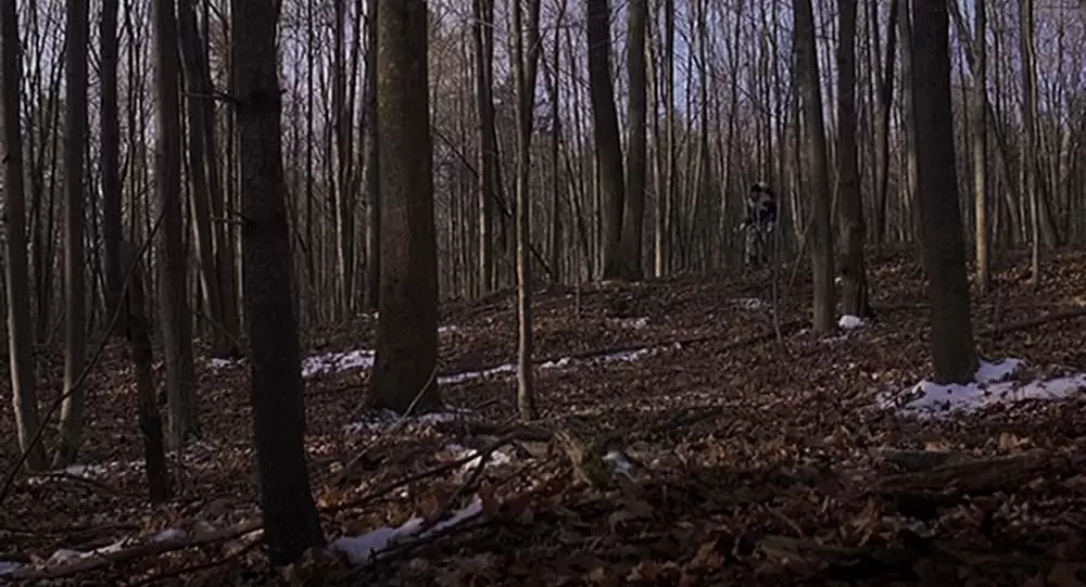 ラースと、その彼女の画像