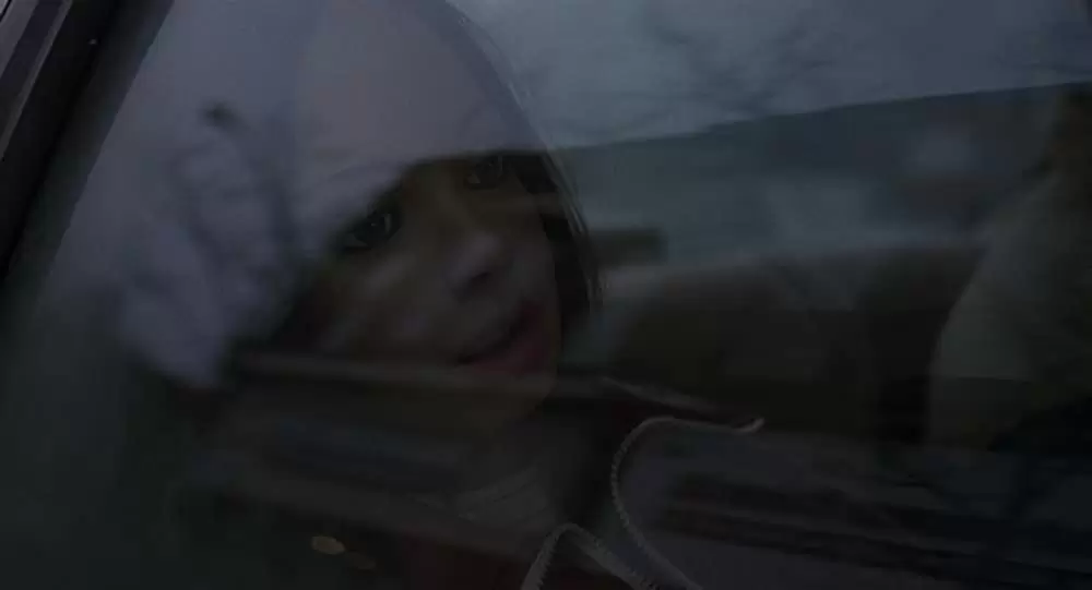 ラースと、その彼女の画像