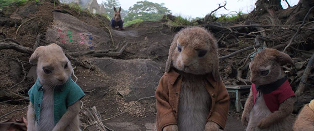 ピーターラビットの画像