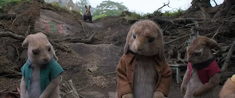 ピーターラビットの画像