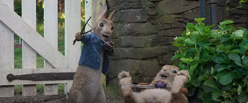 ピーターラビットの画像