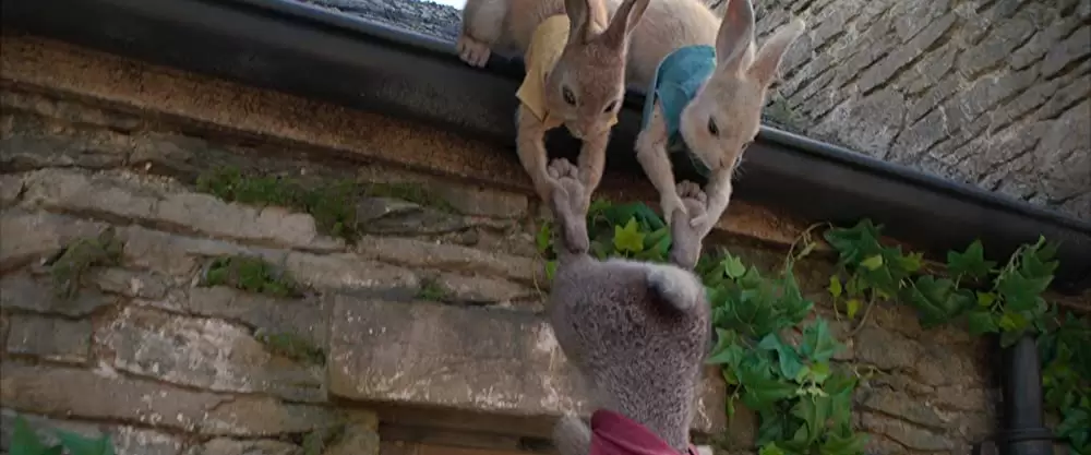 ピーターラビットの画像