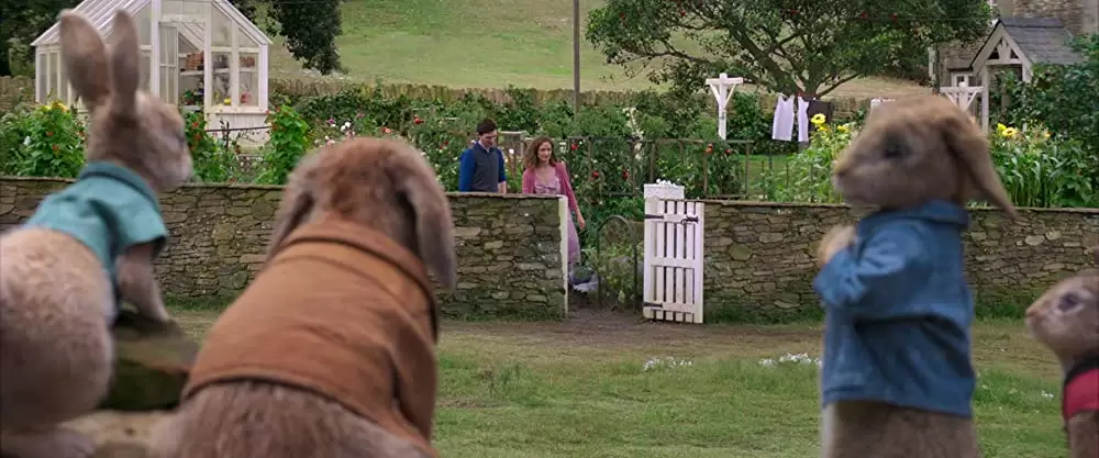 ピーターラビットの画像