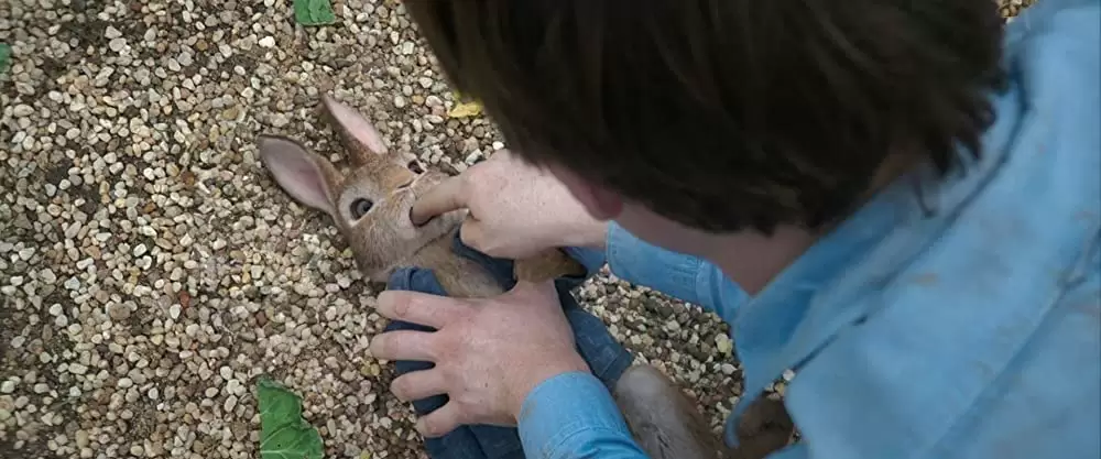 ピーターラビットの画像