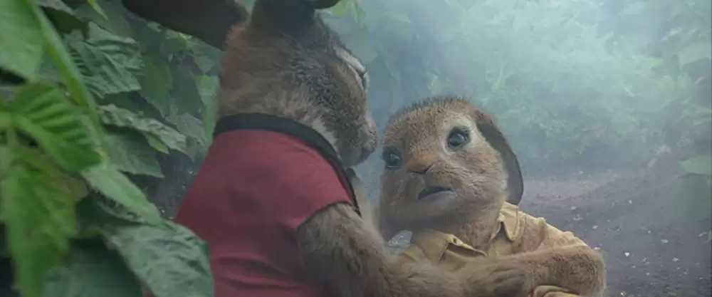 ピーターラビットの画像