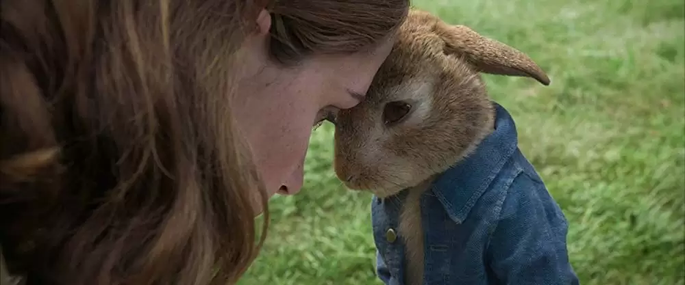 ピーターラビットの画像